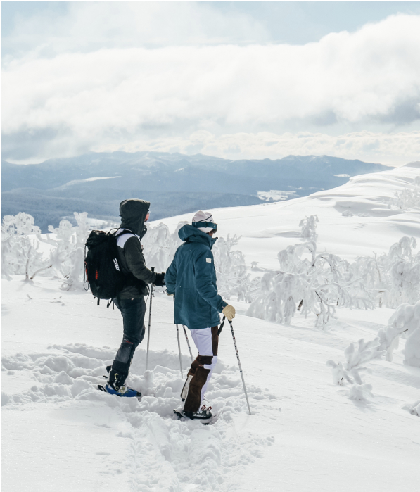 monte con nieve