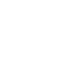 DESCENTE